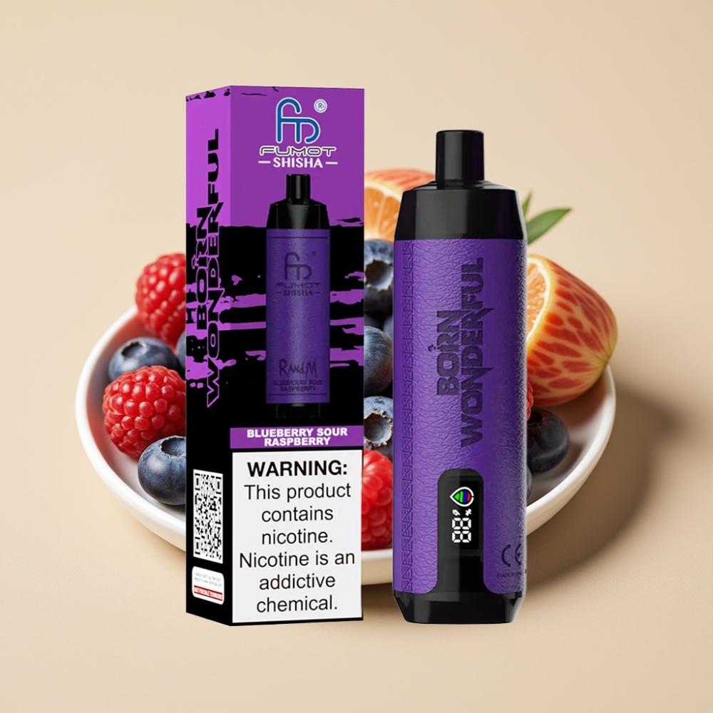 RandM Fumot Shisha 10000 Puffs Jednokratni Vape 18ml LED Type-C Borovnica Kisela Malina